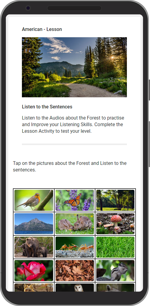 Learn with English Lessons
