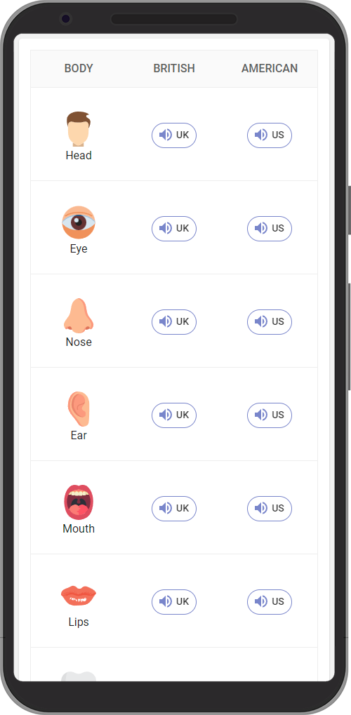 Learn English Vocabulary